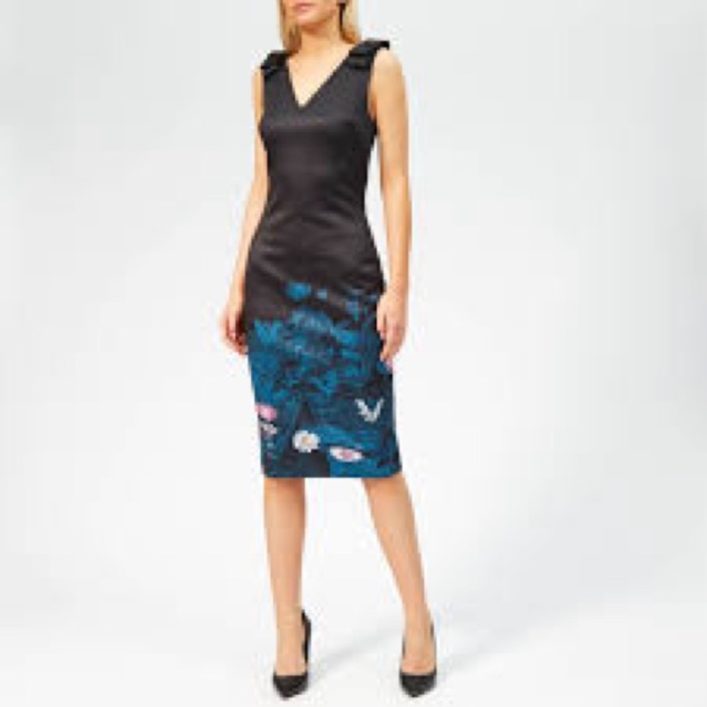 Ted Baker Wonderland dress RARE!
